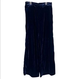 Blue velvet, Banana Republic, wide-leg trousers in size M.